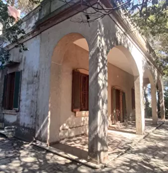 Foto annuncio 2