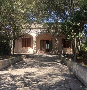 Foto annuncio 5