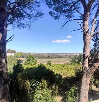Foto annuncio 25