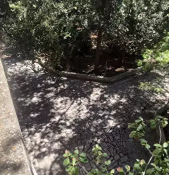 Foto annuncio 27