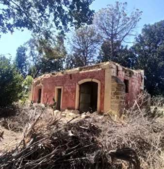 Foto annuncio 28
