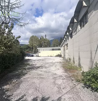 Foto annuncio 11