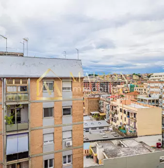 Foto annuncio 29