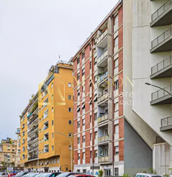 Foto annuncio 31