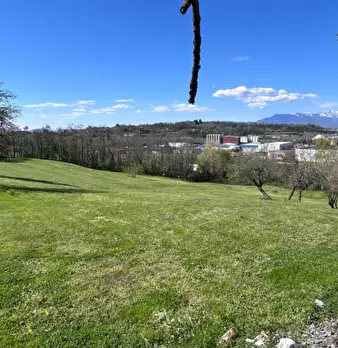 Foto annuncio 6