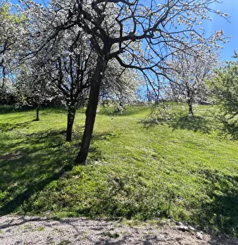 Foto annuncio 8