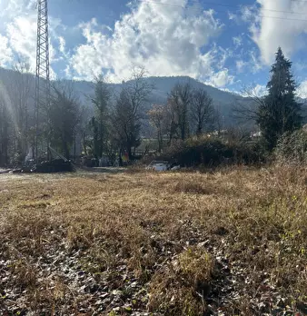 Foto annuncio 11