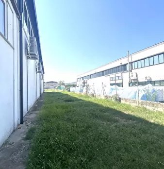 Foto annuncio 8