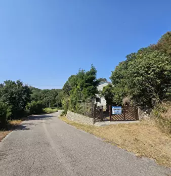 Foto annuncio 7