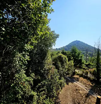 Foto annuncio 10