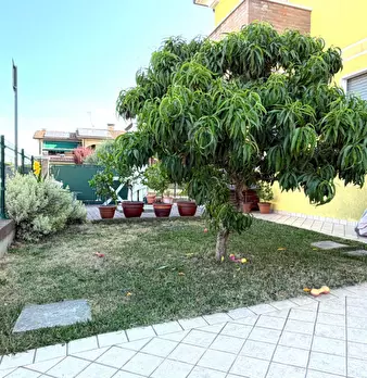 Foto annuncio 9