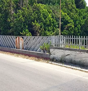 Foto annuncio 25