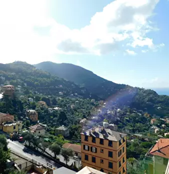 Foto annuncio 10