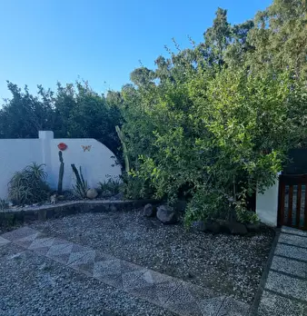 Foto annuncio 12