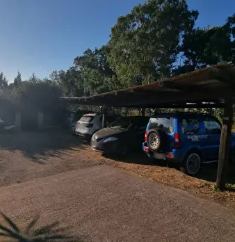 Foto annuncio 30