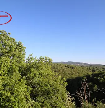 Foto annuncio 20