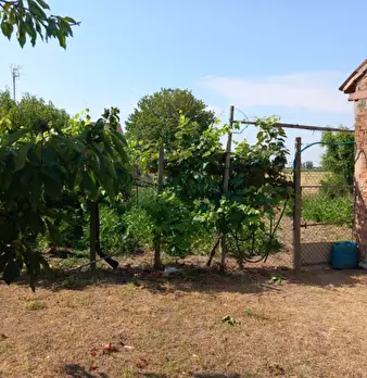 Foto annuncio 8
