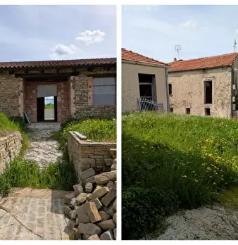 Foto annuncio 3