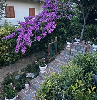 Foto annuncio 17