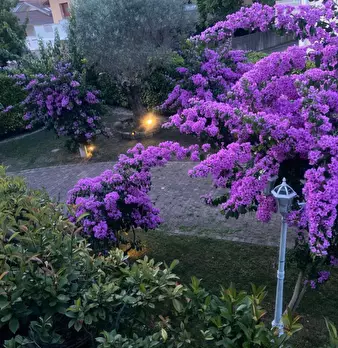 Foto annuncio 18