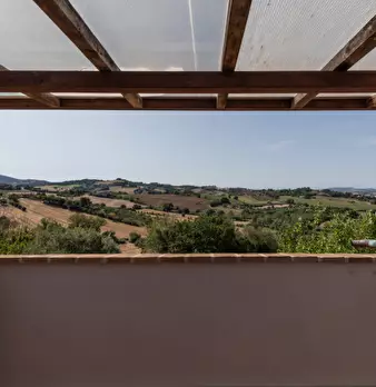 Foto annuncio 36