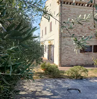 Foto annuncio 41