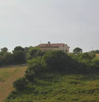 Foto annuncio 42