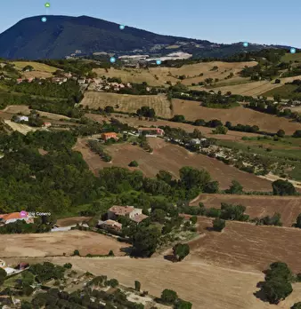 Foto annuncio 43