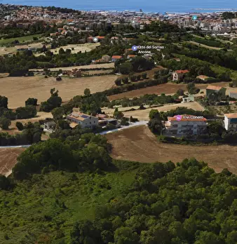 Foto annuncio 44