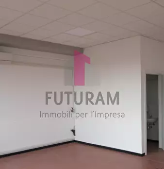 Foto annuncio 7