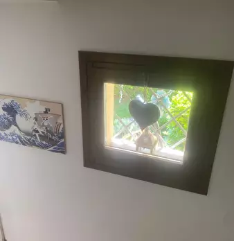 Foto annuncio 9