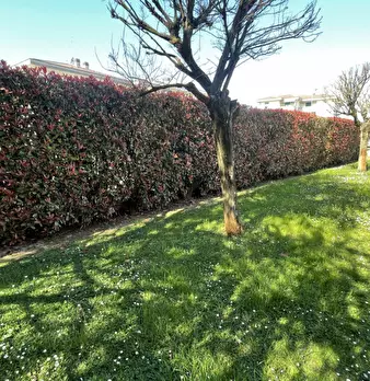 Foto annuncio 29