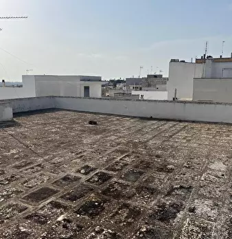 Foto annuncio 14