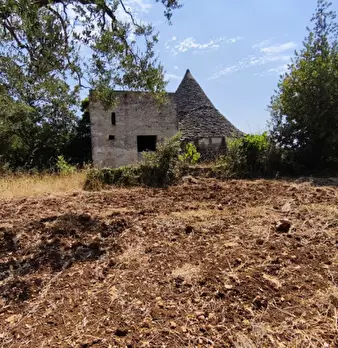 Foto annuncio 8