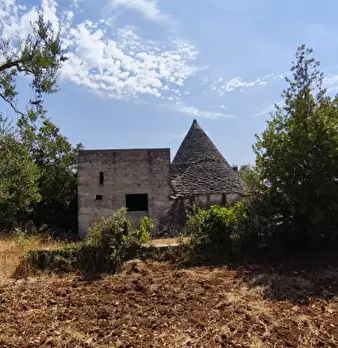 Foto annuncio 9