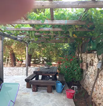 Foto annuncio 55