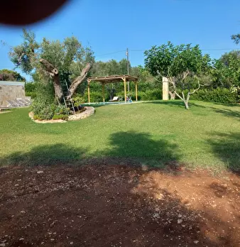Foto annuncio 76