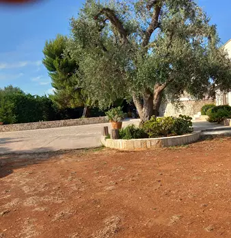 Foto annuncio 77