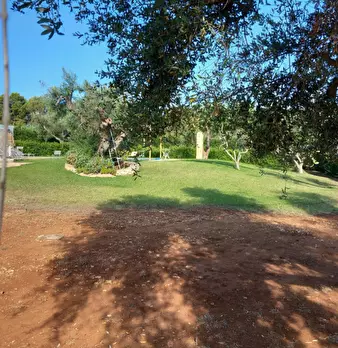 Foto annuncio 79