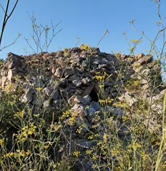 Foto annuncio 1