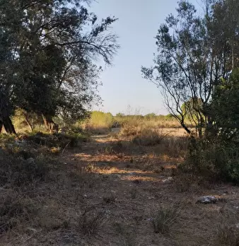 Foto annuncio 2