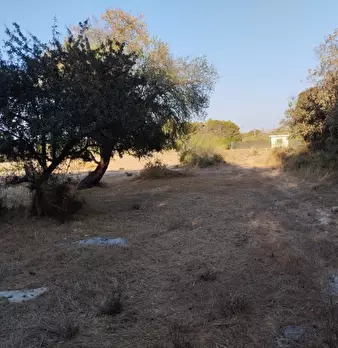 Foto annuncio 3