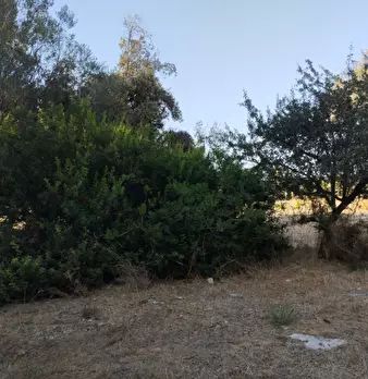 Foto annuncio 4