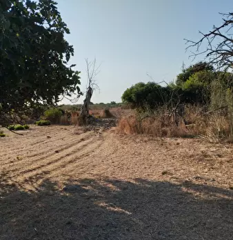Foto annuncio 9