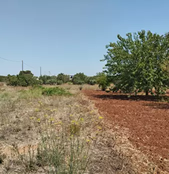 Foto annuncio 6