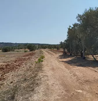 Foto annuncio 11