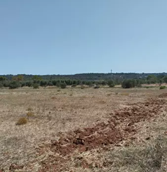 Foto annuncio 12