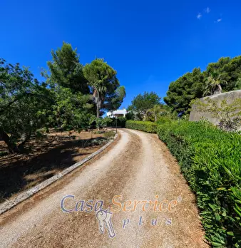 Foto annuncio 42