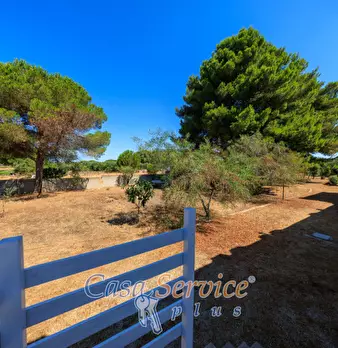 Foto annuncio 58