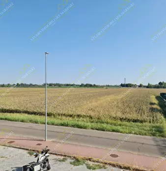 Foto annuncio 19